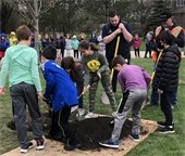 Tree Planting