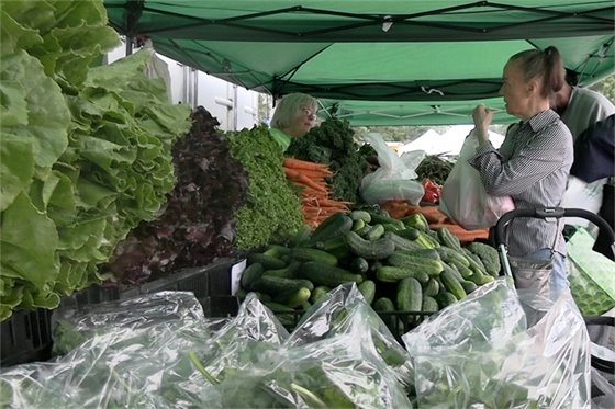 Farmers Market Booth with lettuce