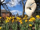 Photo of yellow daffodils in front of Village Hall