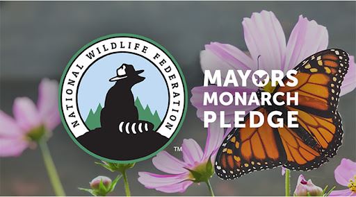 National Wildlife Federation Mayors Monarch Pledge